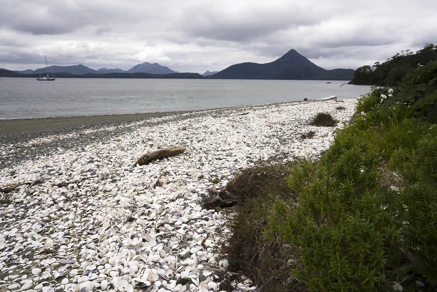 A pale rocky shore, vegetation, sea and mountains under an overcast sky.